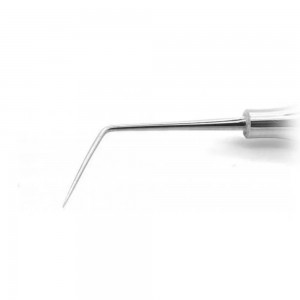 GDC Single End Probe -1 (Exs6l)