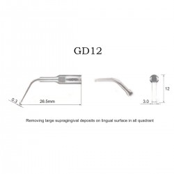 Dental scaling tips GD12