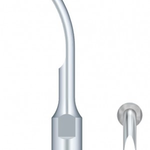 Dental scaling tips GD6