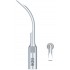 Dental scaling tips GD6