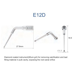 Dental Endodontic Tip E12D