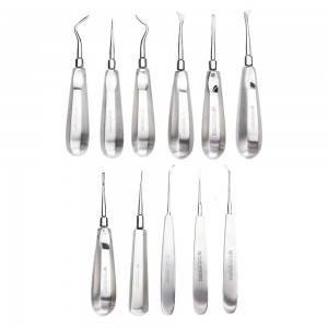 Waldent Root Elevator Instruments Kit Set of 11 K2/4