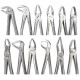 GDC Extraction Forceps Kit (Set Of 12) (EFSP12)